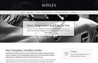 Example Style 3