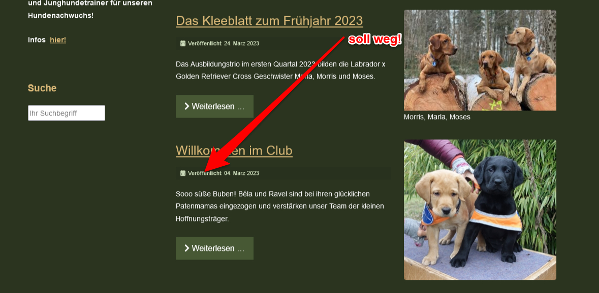 sollweg.jpg