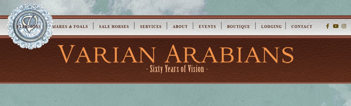 Screenshot 2024-02-20 223015.jpg