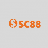 sc8818com1