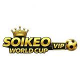 soikeoworldcupvip1