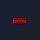 gaixinhblogvn