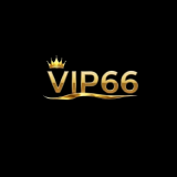 vip66vnorg