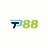 tp88art1
