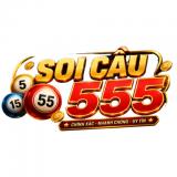 Soicau555win1