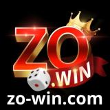 zowincom1