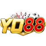 Yo8886org2