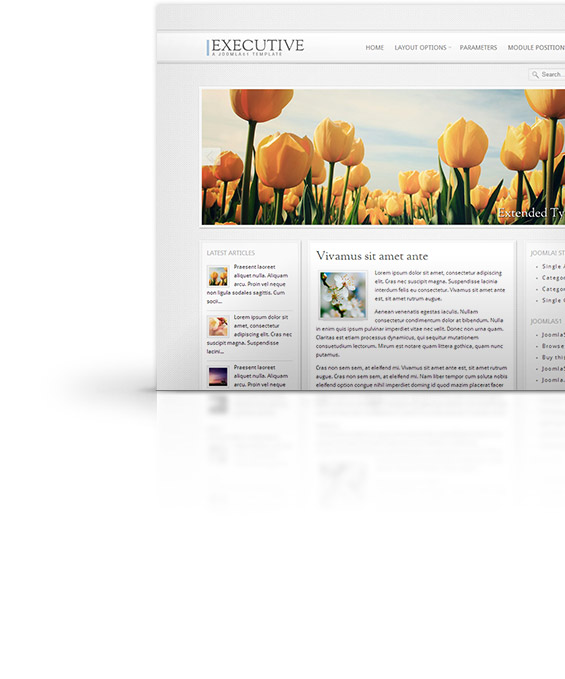 Executive Joomla Template