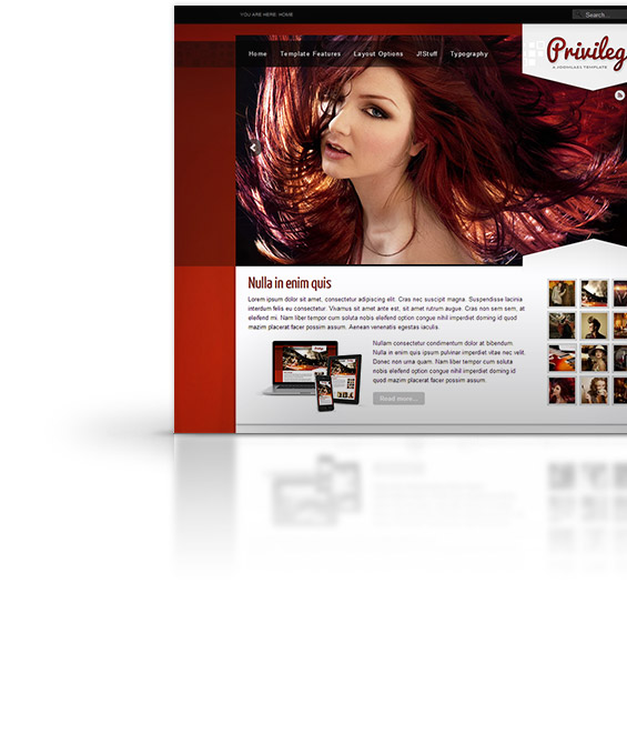 Privilege Joomla Template