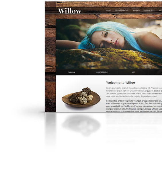Willow Joomla Template