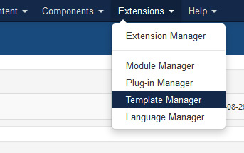 Accessing your Template Parameters