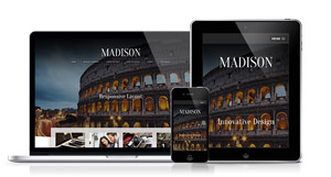 Madison - A Visually Stunning and Attractive Design
